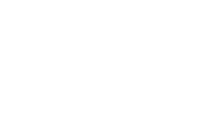 NARI_Austin_Logo_REV
