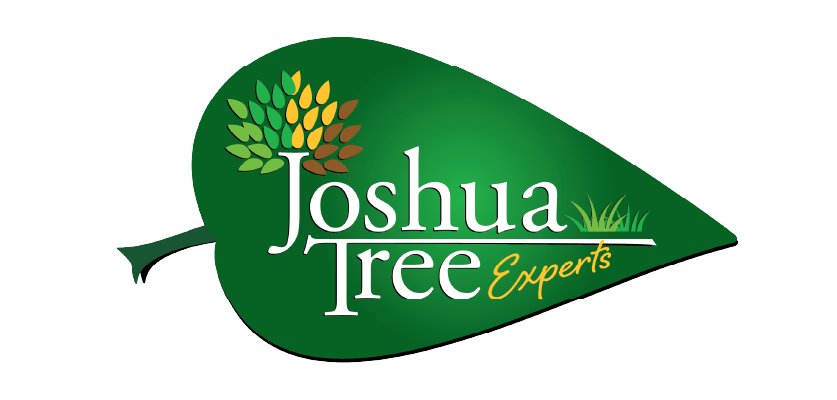 Joshua-TreeBrand-Page-Logo